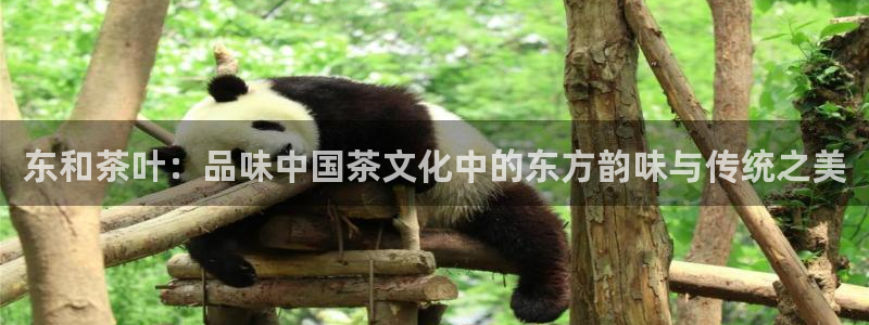 摩登7高阶