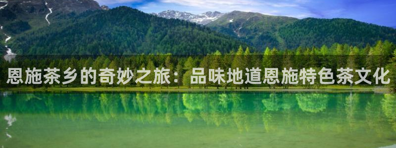 摩登7属于什么平台