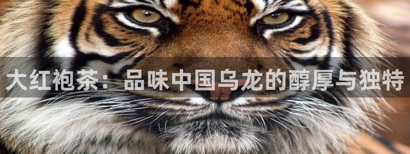 摩登3往找7O667