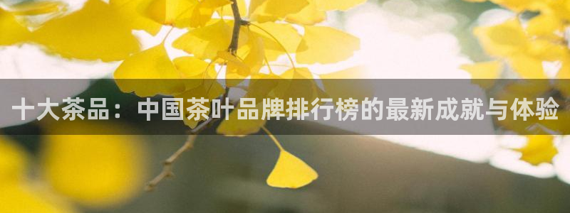 摩登7平台涨7O777