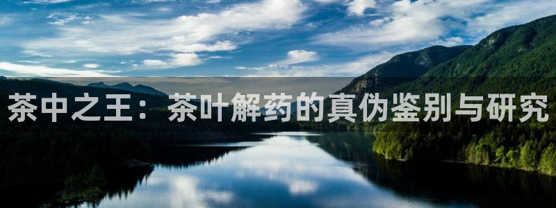 摩登7娱乐平台登录不了