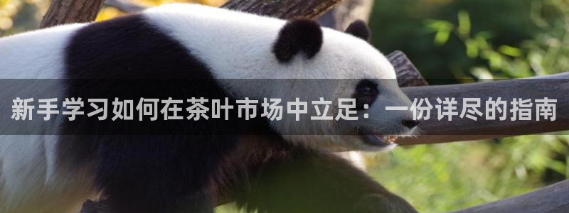 摩登7