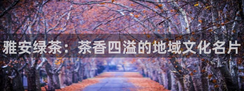 摩登3褚7O667