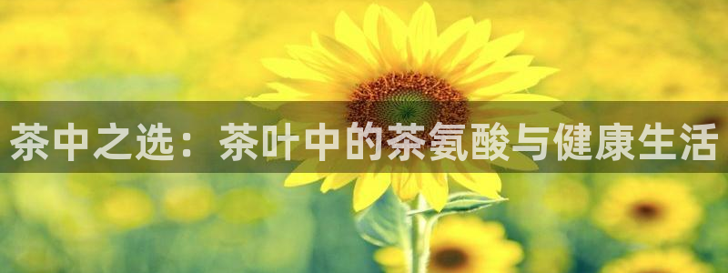摩登7楼