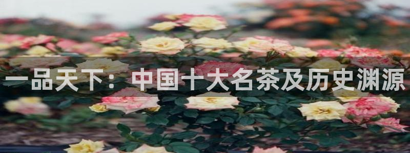 摩登7娱乐怎么样
