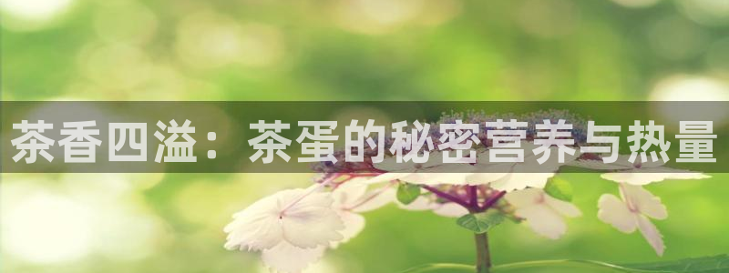 摩登7月3299O7