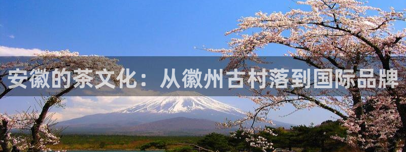 摩登6跟摩登7的区别