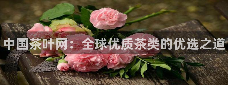 摩登6上7O667