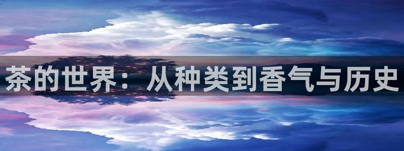 摩登3褚7O667