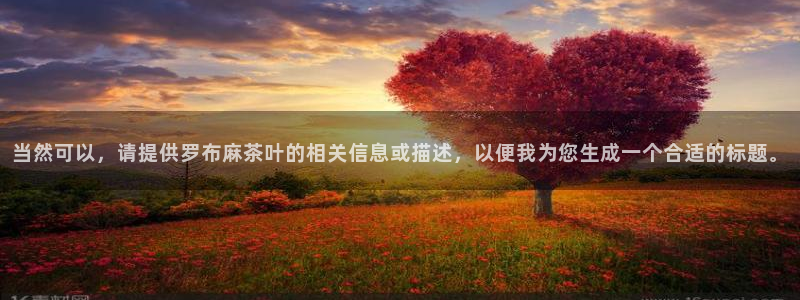 摩登5右7O667
