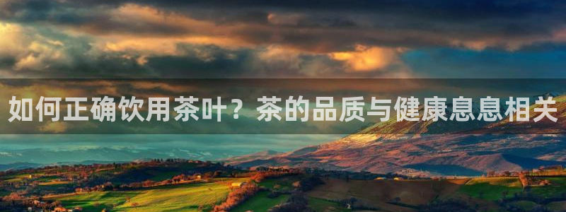 摩登7直属招商