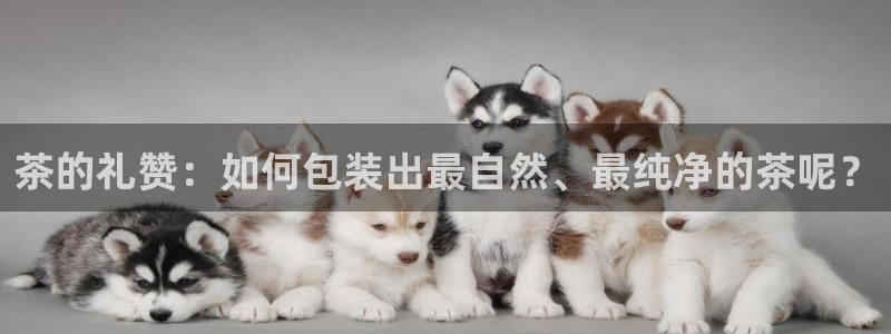 摩登7游戏
