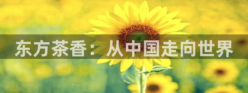 摩登7登录博333OO