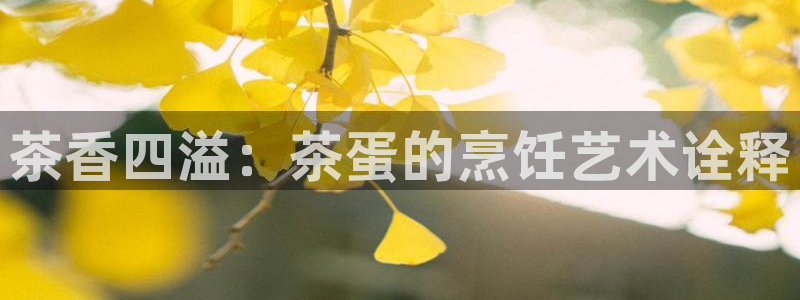 摩登7泽333OO