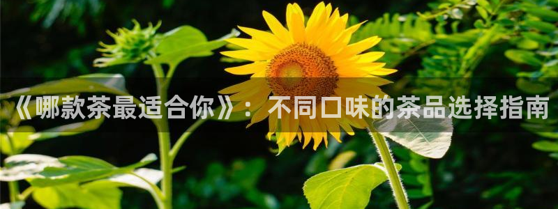 摩登7平台周7O777