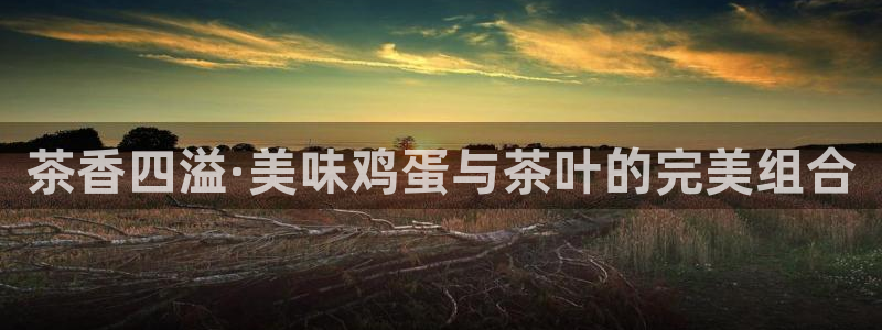 摩登7注册车333OO