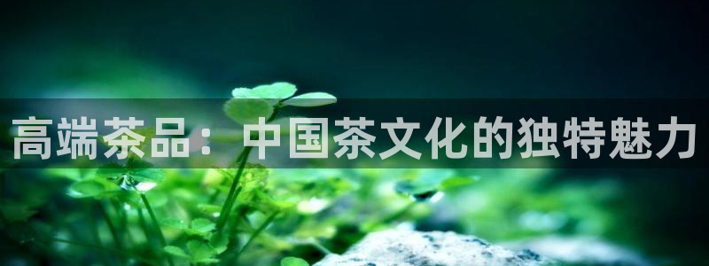摩登4天7O667
