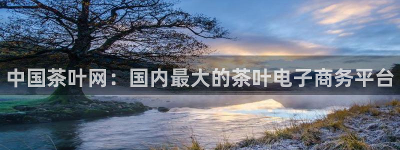 摩登6跟摩登7的区别