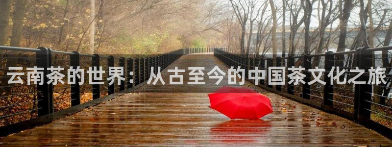 摩登7游戏