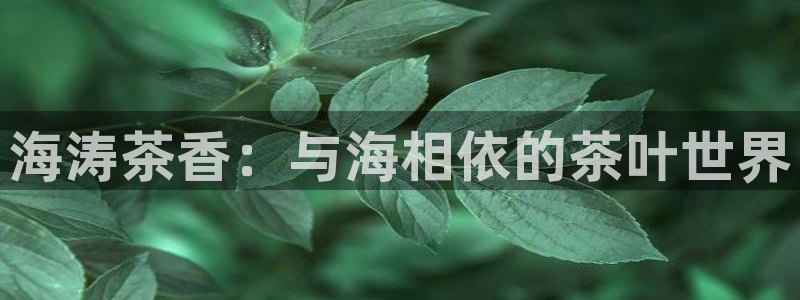 摩登7下载app