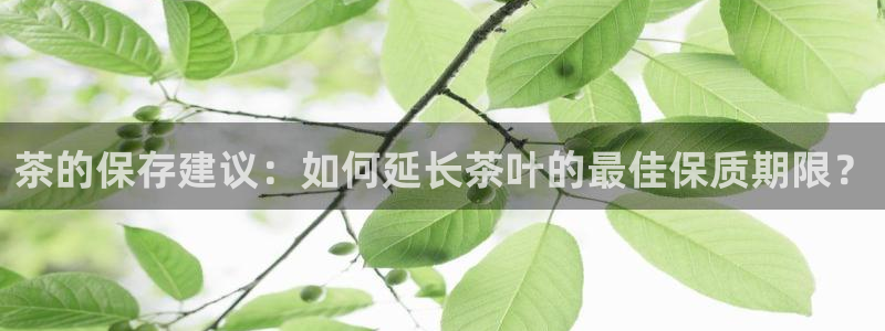 摩登6下7O667