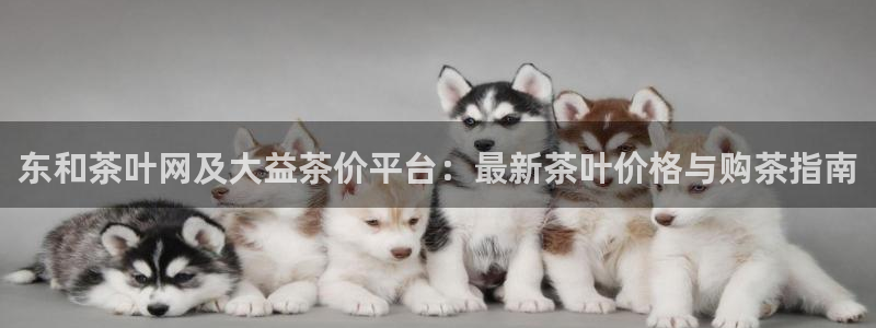 摩登18 7
