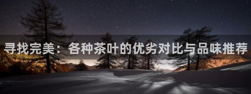 摩登7平台招商