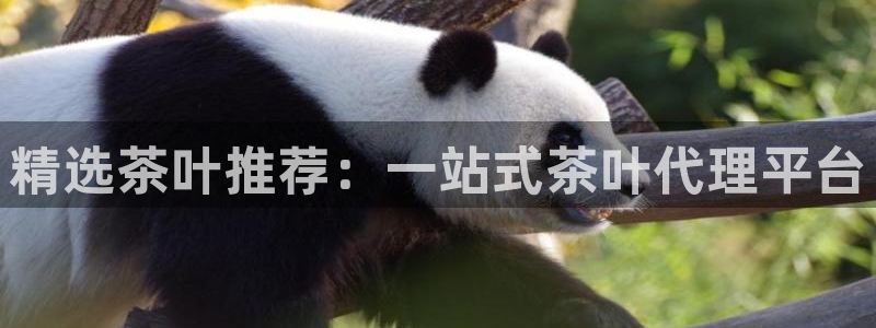 摩登7招商讨333OO