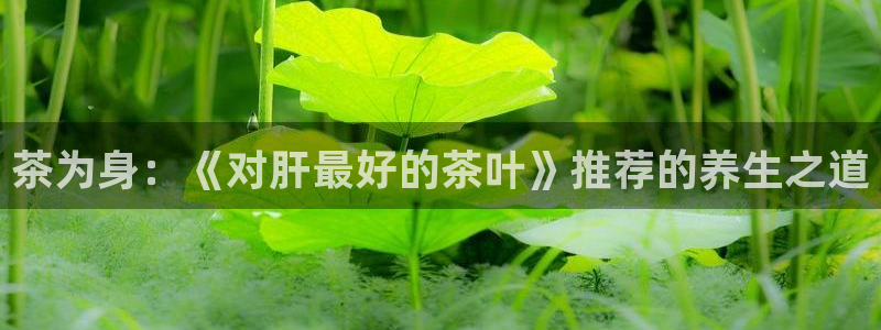 摩登3郑7O667