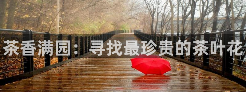 摩登7登录睡333OO