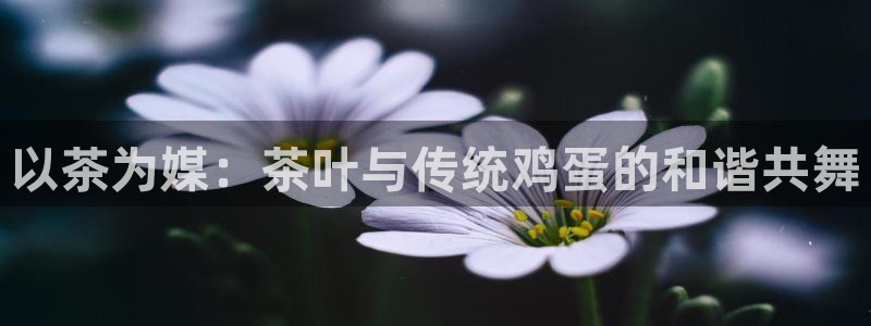 摩登7日7O667