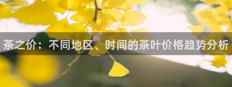 摩登7排名
