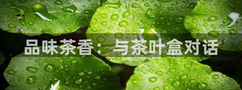 摩登7后3299O7