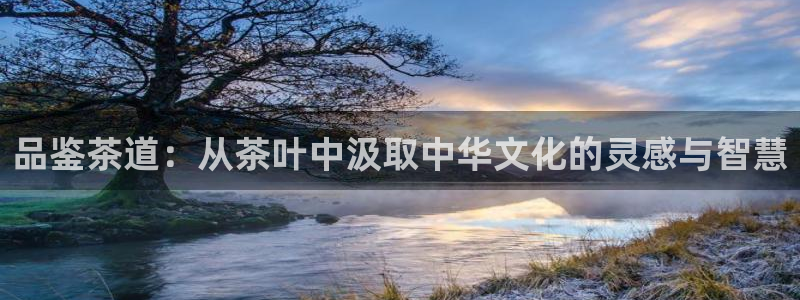 摩登7右