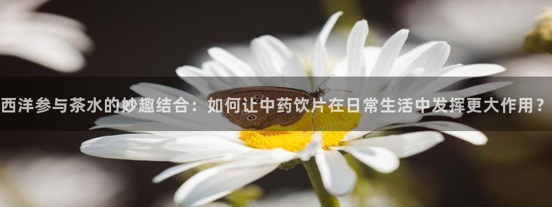 lgg7摩登