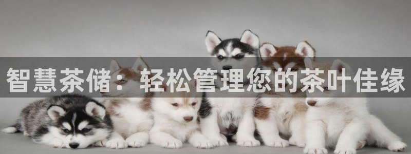 摩登5韩这7O667