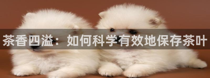 摩登3郑7O667