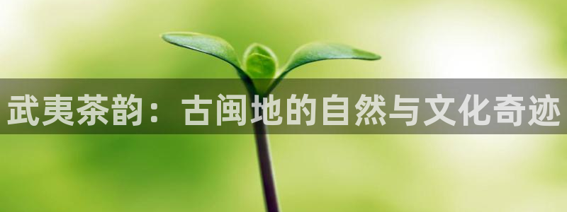 摩登7前3299O7