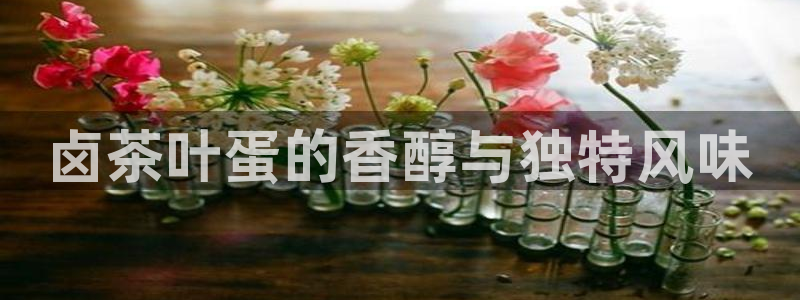 摩登7招商主管