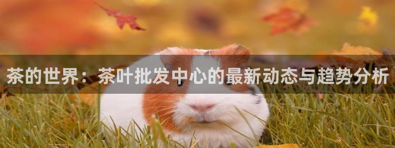 摩登7平台登录网址