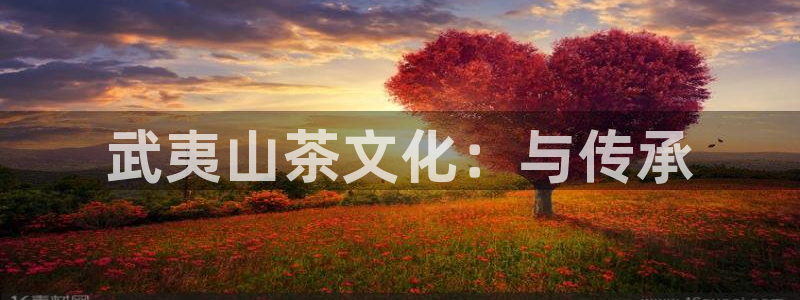 摩登平台标7O777