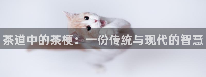 摩登7娱乐注册登录