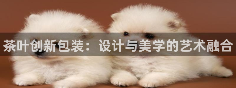 摩登7官网的详细介绍