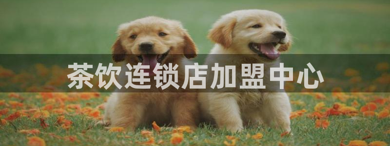 摩登6跟摩登7的区别